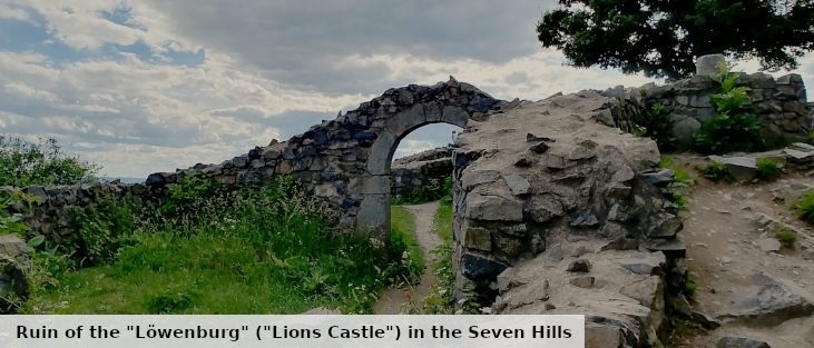 Ruin of the Lions Castle